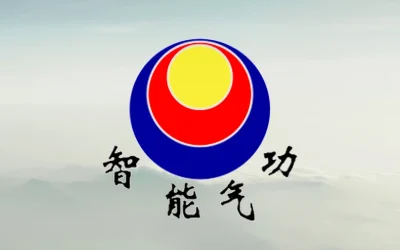 La ciencia del ZHÌNÉNG QÌGŌNG (ZNQG) ¿Qué estudia?