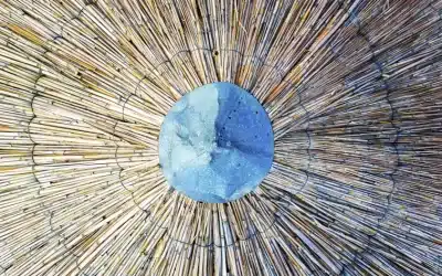 La información y la consciencia